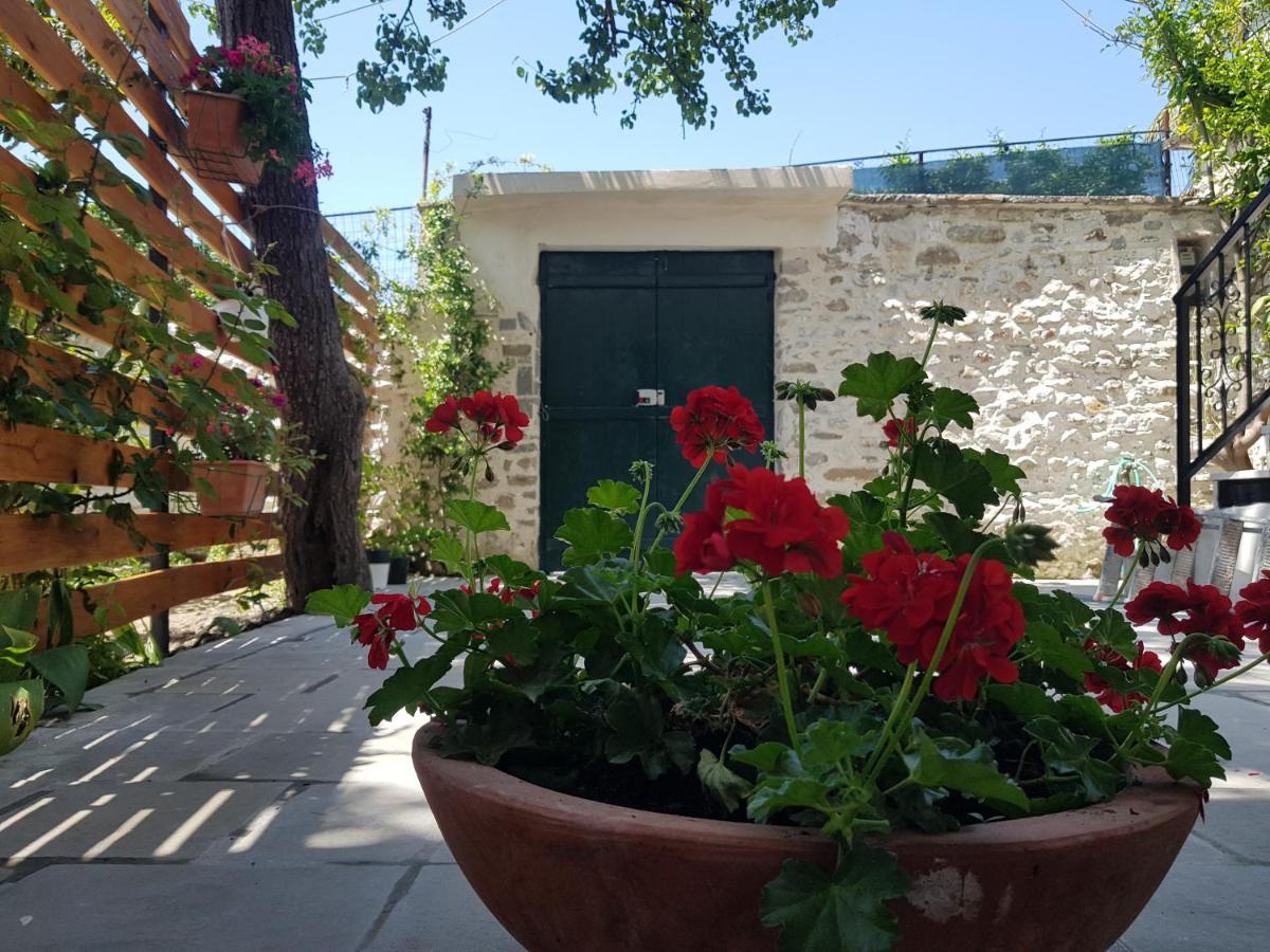 Villa Grigor Berat Exteriér fotografie